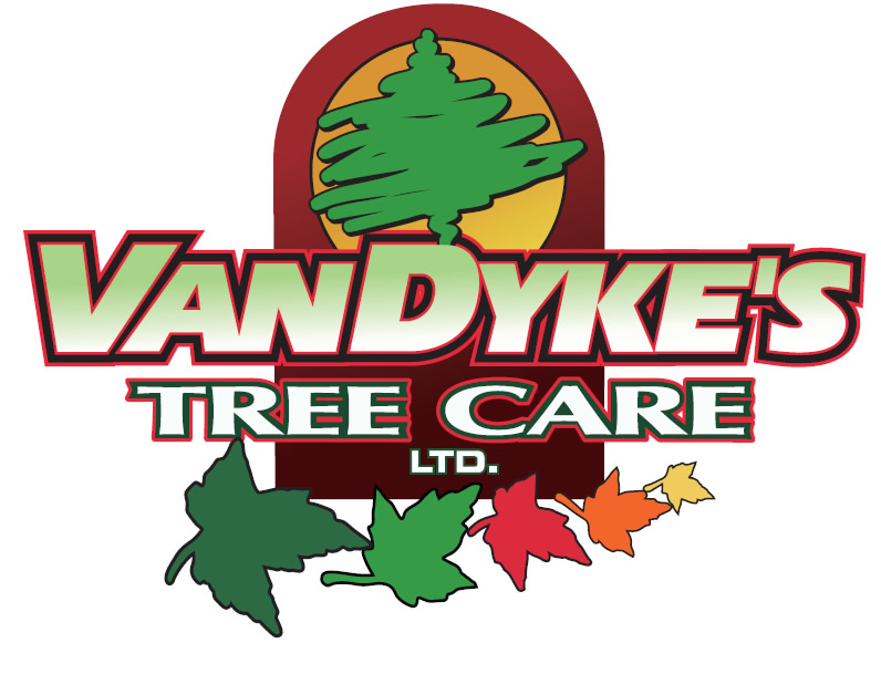 Van Dykes Tree Care 