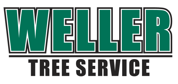 Weller Tree Service