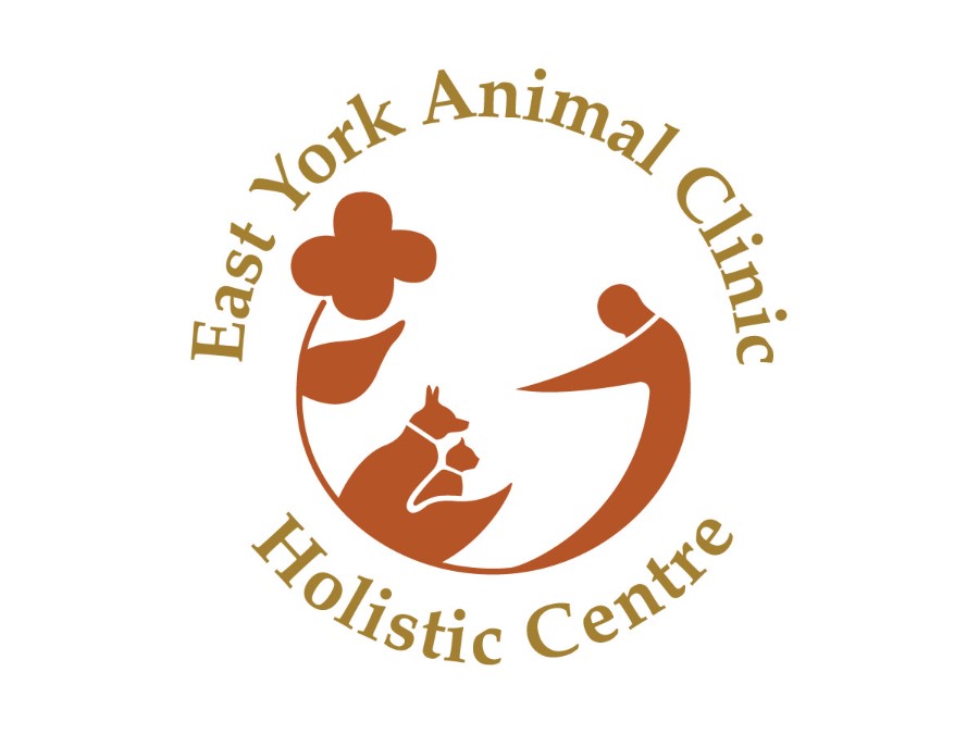 East York Animal Clinic