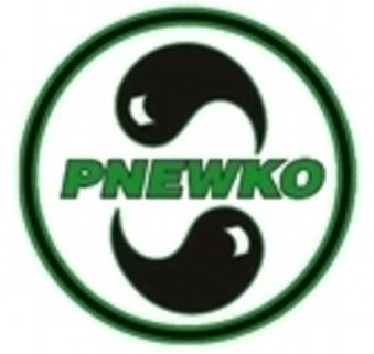 Pnewko Brothers